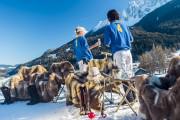 Chalet Valcastello Dolomites Chalet & Polo Club   